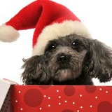 Elena Baserova, 13.10, Санкт-Петербург