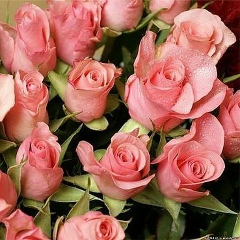 Umit Kuspanova, 30.12.1977