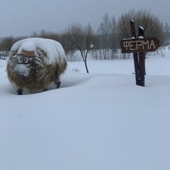 Евгений Мос, 13.01.1980, Torino