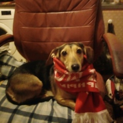 Вадим Андреев, 19.04, Москва