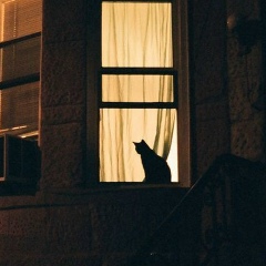 Тома Джагмаидзе, 11.09, Владикавказ