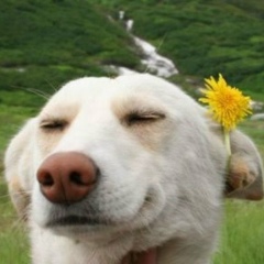 Виталий Комаров, 07.04.1980, Никель