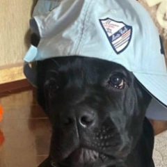 Петр Грошев, Алматы