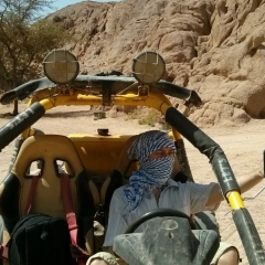 Мак Губ, 01.04.1999, Донецк