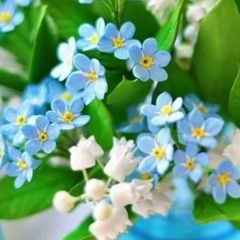 Людмила Суд, 13.04, Санкт-Петербург