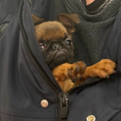 Михаил Сарнацкий, 26.04.1986, Санкт-Петербург