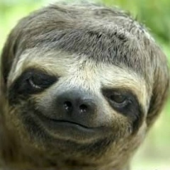 Максим Комаренко, 19.05.1986