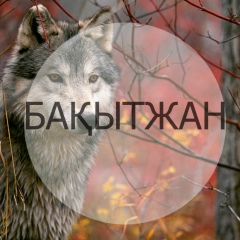 Бақытжан Уәлихан, 10.12.1988, Шымкент