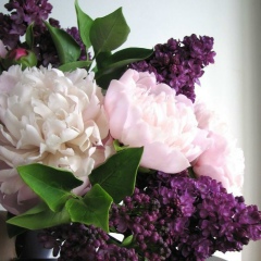 Светлана Прусова, 30.12.1982, Балашиха