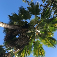 Алексей Полухин, 02.07, Барнаул