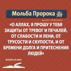 Алихан Maximus, 23.01, Грозный