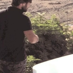 Адам Ялиев, 20.11.1991, Загатала