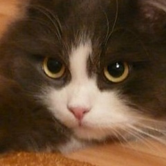 Инна Козинская, 06.05, Санкт-Петербург