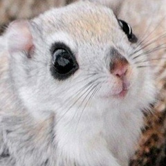 Елена Янковенко, 01.04, Костанай