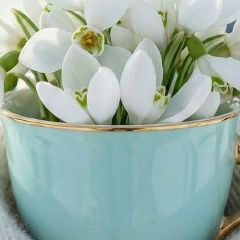 Анастасия Даровских, 11.06, Киров