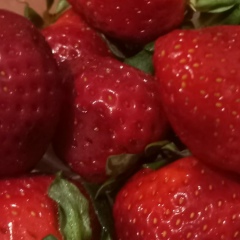 Анна Джексенова