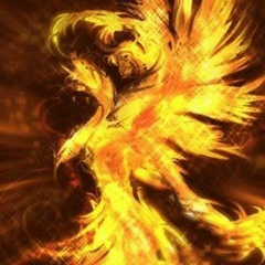 Максим Батькович, 15.09.1994, Санкт-Петербург