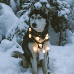 Нурсултан Жолдасбай, 28.06