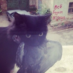 Дима Русенко, 27.11, Красноярск