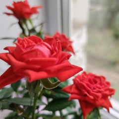 Света Пенягина, 04.08, Зюкайка