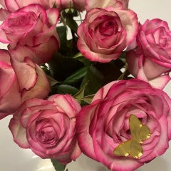 Гулжайна Изтурова, 19.12, Актау