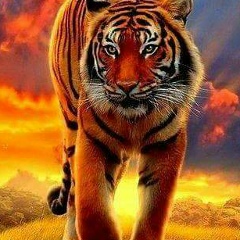 ေရႊ လင္းေျမ, 01.02.2004