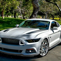 Виктория Миронова, 16.02