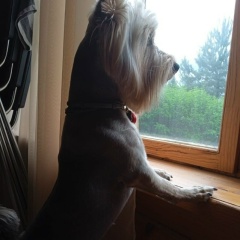 Ирина Краснова, Москва