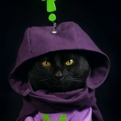 Евгений Гончаров, 23.02.1994, Москва