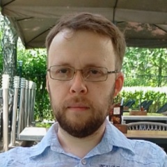 Владимир Курнаев, Тольятти