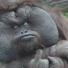 Антон Климов, 12.11