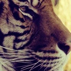 Ирина Пицур, 12.12, Харьков