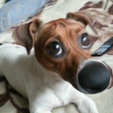 Михаил Граблин, 28.12.1981, Санкт-Петербург