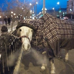 Ромик Сафонов, 05.01.1998