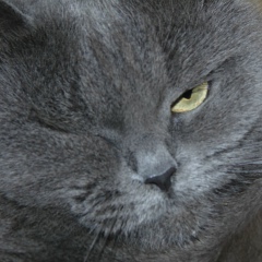 Елена Снежная, 09.10.1983, Киев