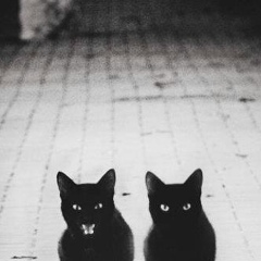 Анна Кищак, Киев