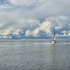 Мария Гончарова, Санкт-Петербург