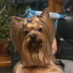 Мария Львова, Москва