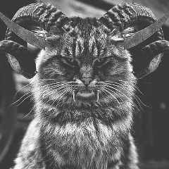 Fribble Soier, 14.04, Москва