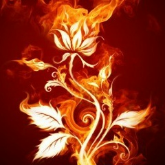 Регина Симашева, Болгары