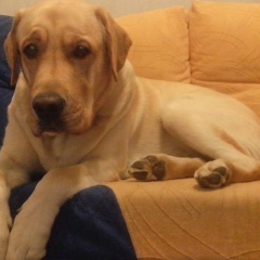 Стас Микюлин, 24.09.1995, Можайск