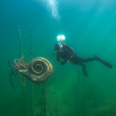 Светлана Мазеева, 15.11, Москва