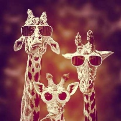 Дашка Насырова, 27.10.1991, Москва