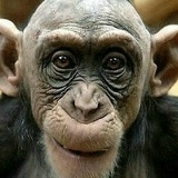 Александр Бескровных, 04.08.1984