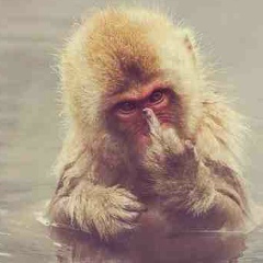 Игорь Евсеев, 21.09.1988, Москва