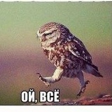 Александра Пилипенко, 28.07.1984, Санкт-Петербург