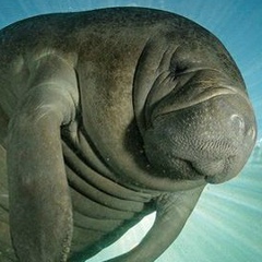 Павел Хлебодаров, 25.10.1990, Самара