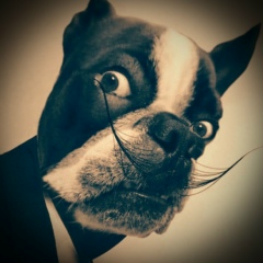 Илья Немалевич, 15.04