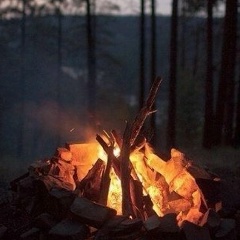 Денис Логинов