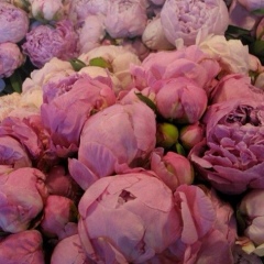 Hesna Kochiyeva, 01.04, Алматы